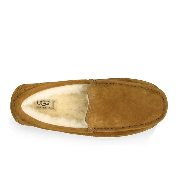 UGG Men's Ascot Slipper Chestnut